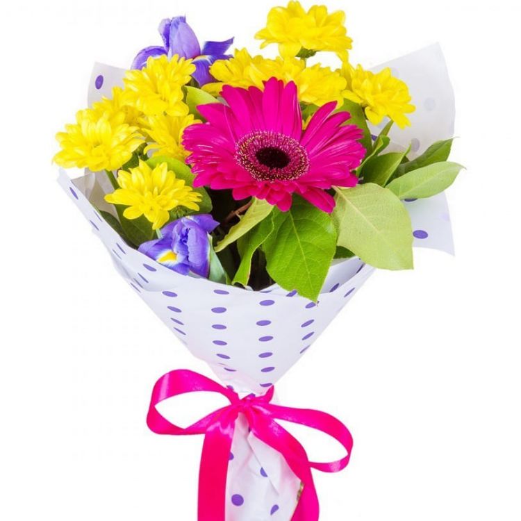 Радость от 3 190 руб.